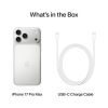 iphone 17 pro max 2 tb